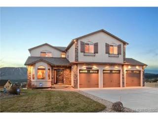 17776 Mining Way, Woodmoor, CO 80132-8172