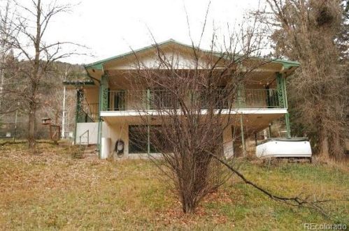 29 Red Dog Rd, El Jebel, CO 81623-8928