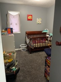 126 Diller St, Swygert IL  61764-2704 exterior