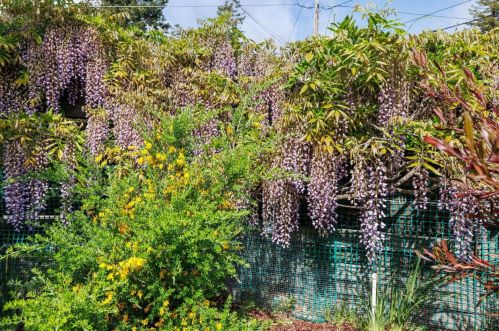 911 Echo Dr, Los Altos CA  94024-4874 exterior