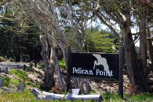 36 Pelican Pt, Watsonville, CA 95076-9537