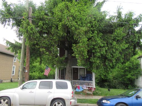 604 Harrison St, Springfield, OH 45505-2007