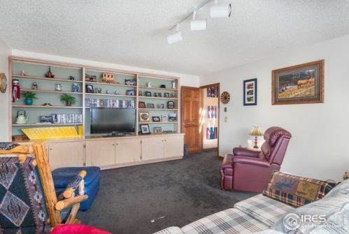 1601 Zermatt Trl, Estes Park CO exterior