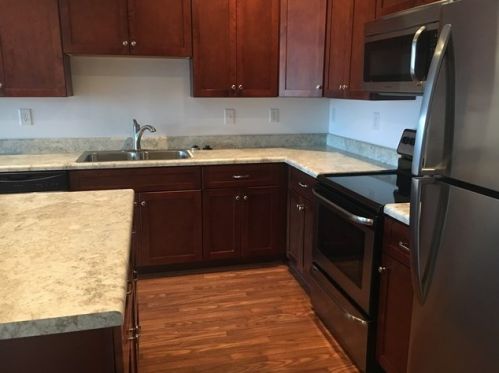 525 Gray Catbird Way, Burnettown SC  29851-3096 exterior