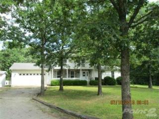 13985 Cherry Dr, Plato, MO 65552-8746
