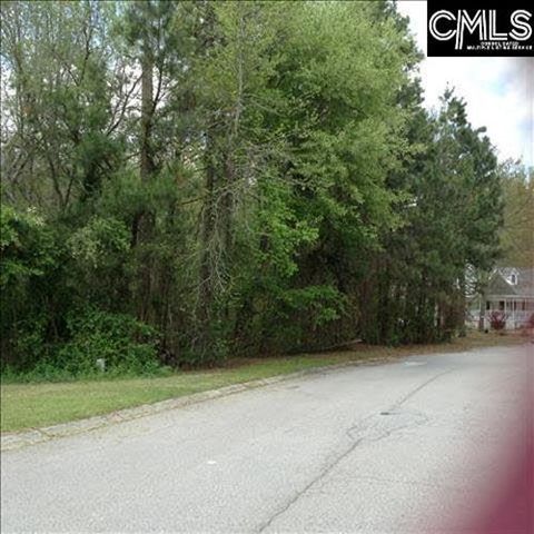 1008 Tarrytown Ln, Cayce-West Columbia, SC 29170-3232