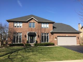 1156 Ancient Oaks Dr, Hanover Park, IL 60103-1712