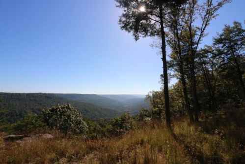 2140 Clifftops Ave, Monteagle, TN 37356-2080