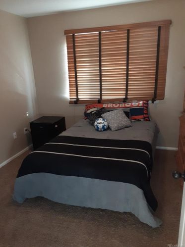 3372 Shadbush St, Loveland CO 80534-9142 exterior