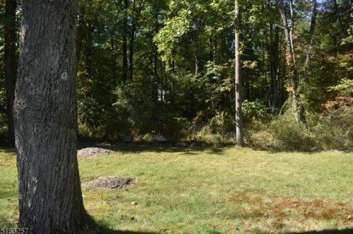 33 Bunnvale Rd, Califon, NJ 07830-4141