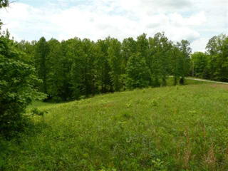 376 Magnolia Ln, Allons, TN 38541-3053