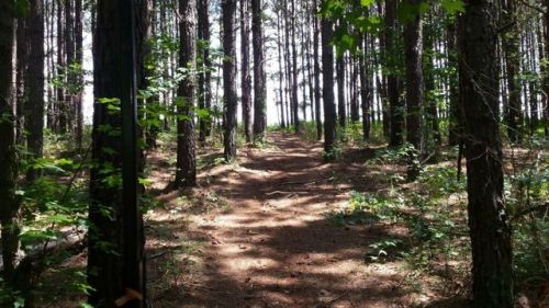 111 Hull Rd, Casar, NC 28020-8756