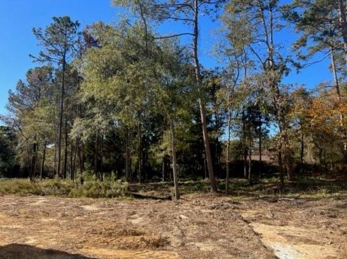 2565 Hickory Valley Dr, Lithonia, GA 30078-3230