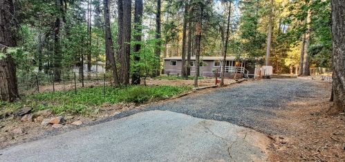 15060 Jack Pine Way, Nimshew, CA 95954-9118