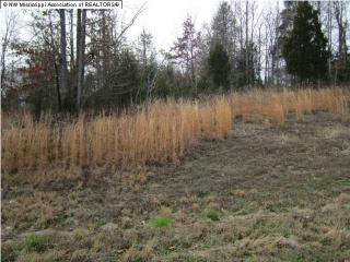 18 Castle Pines Cv, Byhalia, MS 38611-7551