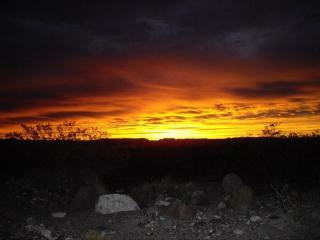 700 Buford Dr, Campus, NM 87801-4020