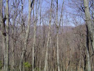 4507 Sassafras Mountain Trl, Big Canoe, GA 30143