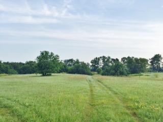 2139 White Tail Ln, Nelson IL  61021-9260 exterior
