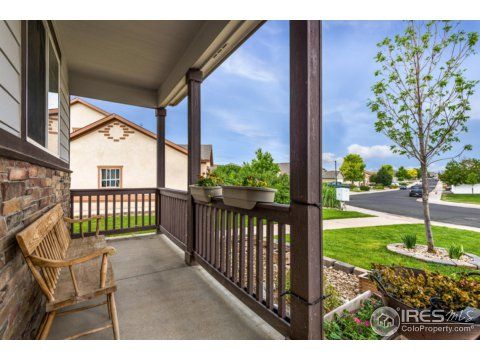 343 Alder Ave, Loveland, CO 80534-9126