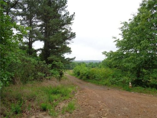 155 Paint Rock Rd, Magazine, AR 72943-8759
