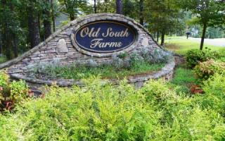29 Old South Dr, Ellijay, GA 30540-7519