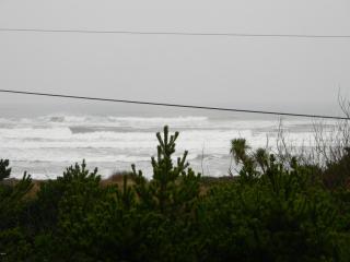 5075 Pacific Coast Hwy, Waldport, OR 97394-4468