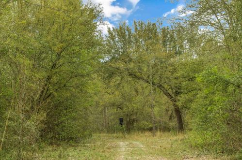 4488 Pond Town Rd, Brunson SC  29911-3801 exterior