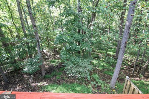 14212 Long Green Dr, Silver Spring MD 20906-2074 exterior