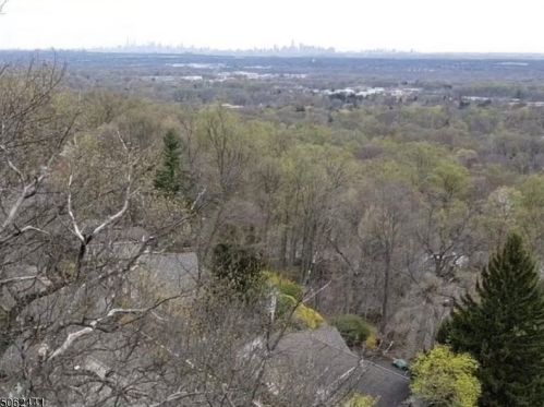 396 Ackerman St, Mountainside, NJ 07092-1315
