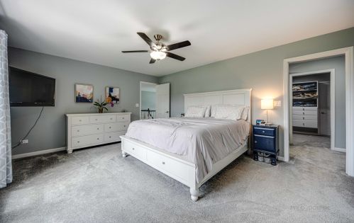 1603 Elm St, Spring Grove IL  60081-8002 exterior