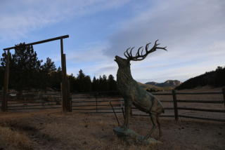 5150 County Road 59, Allenspark, CO 80510