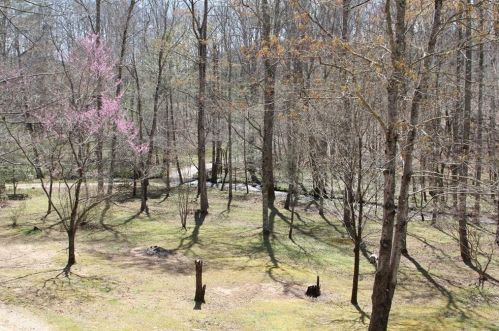 485 Possum Ln, Suches, GA 30572-2100