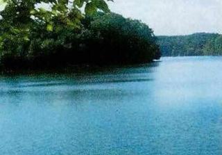1619 Marcia Ct, Seneca, SC 29672-9122
