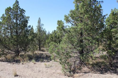 14868 Wintoon St, Prineville, OR 97754-8593