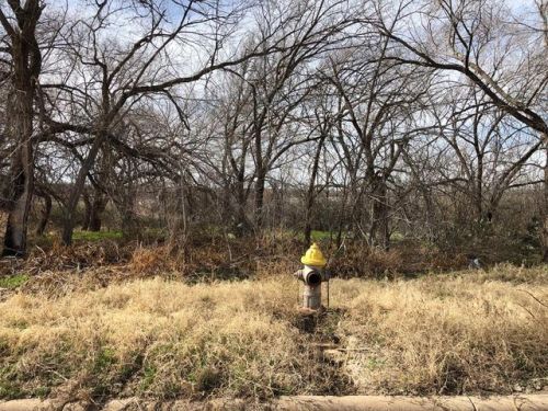 106 Channing, Big Spring TX  79720-1008 exterior