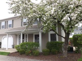 213 Teak Ln, Streamwood, IL 60107-2260