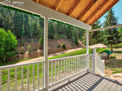 453 Willow Rd, Divide, CO 80814-8912