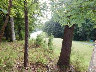 272 Tamarack Dr, Big Canoe, GA 30143-5625