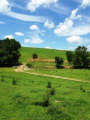 964 Crystal Springs Dr, Bland VA  24315 exterior