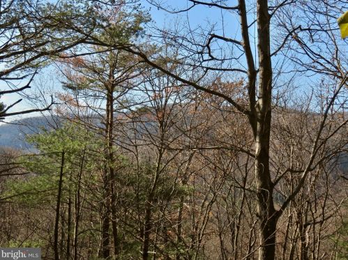 67 Briar Ridge Ln, Sperryville, VA 22740-2305