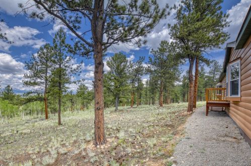 1212 Derbishire Rd, Fairplay, CO 80456-9745