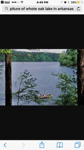 493 Ouachita Road 15, Chidester, AR 71726-8172