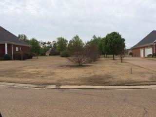 221 Cotton Bay Cv, Covington, TN 38019-3554