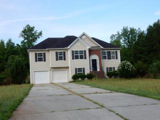 10907 Hondal Ct, Hampton, GA 30228-6383