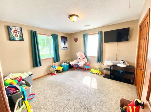 115 Olive St, Swygert IL  61764-2652 exterior