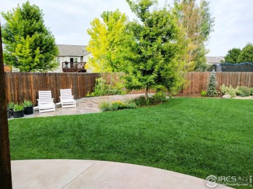 206 Windflower Way, Fort Collins CO  80550-6233 exterior