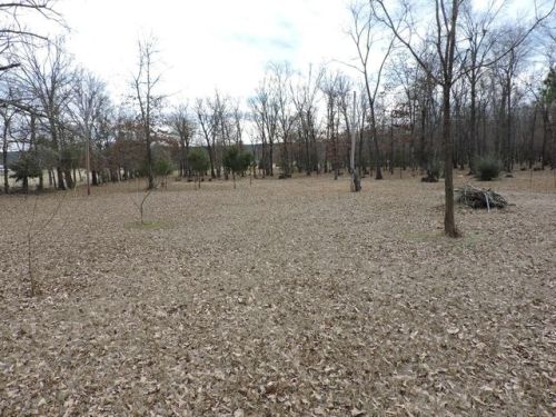 5053 Haw Creek Loop, Bates, AR 72958-9189
