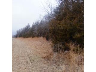 697 Jansen Ave, Hanover, MN 55341