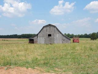 260 Hoodoo Rd, Beechgrove, TN 37018-3678