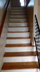 10028 Hawkins Ct, Indianapolis IN  46229-1808 exterior